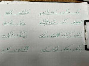 monitoring participation in (and across) lessons...