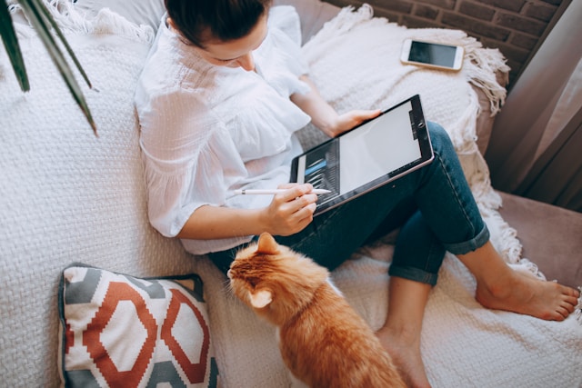 Energy saving tips to save money on bills