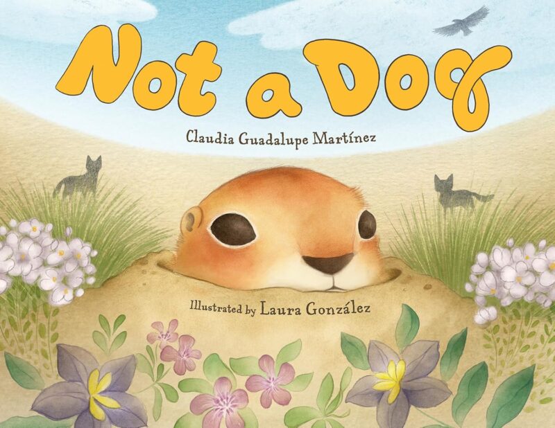 Not a Dog Not a Dog book cover
